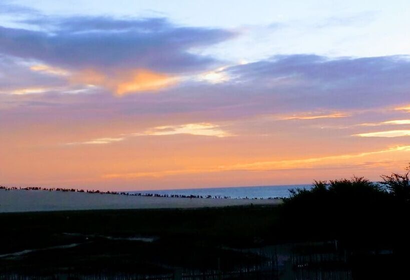 ホテル Jeri Suítes