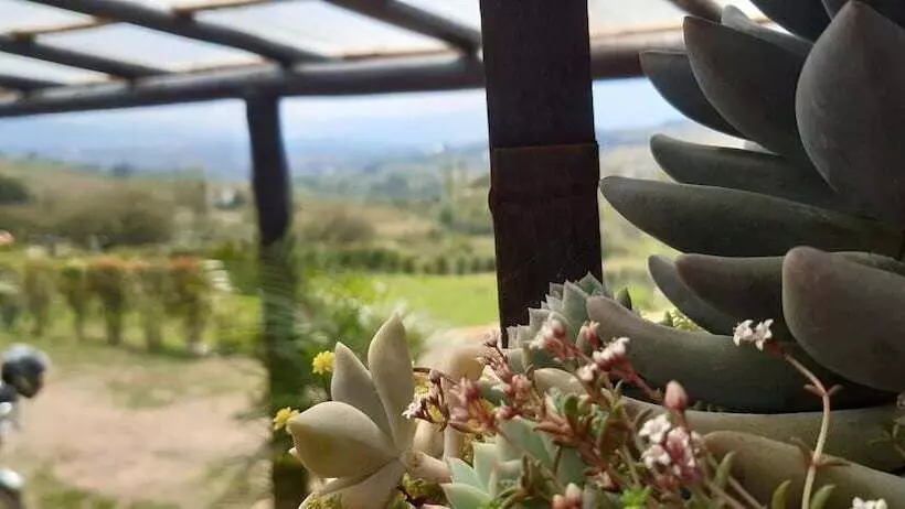ホテル Posada La Serena