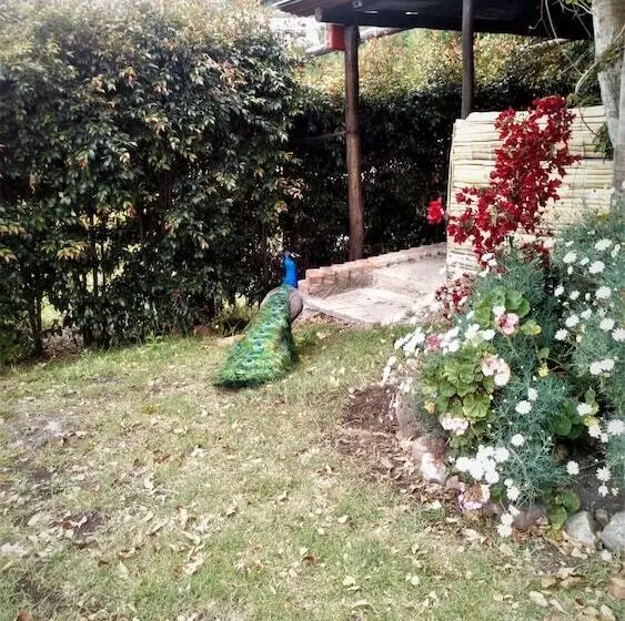 ホテル Posada La Serena