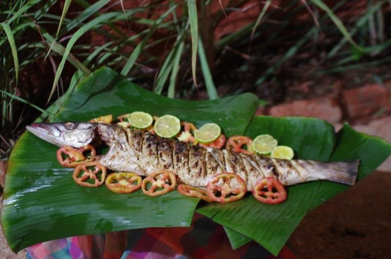 پانسیون Villa Malaka