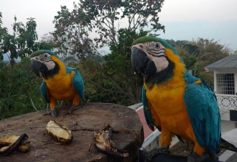 The Chill Out Hostel