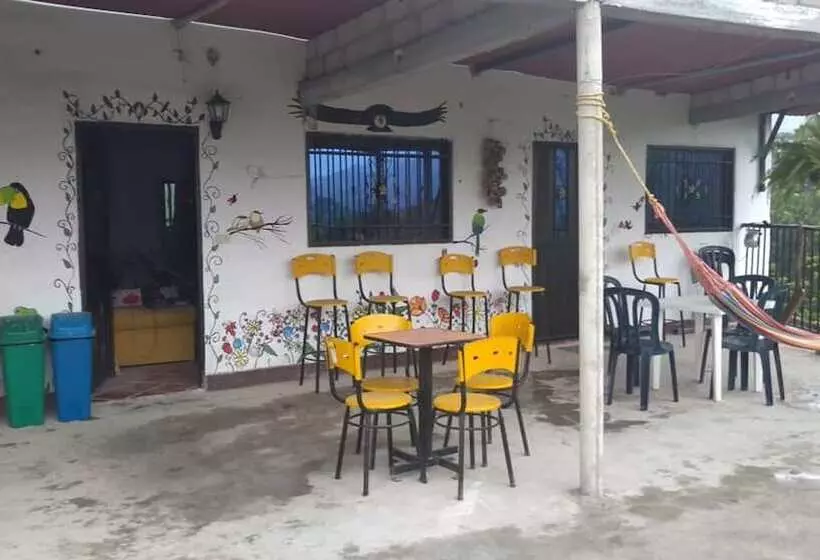 The Chill Out Hostel