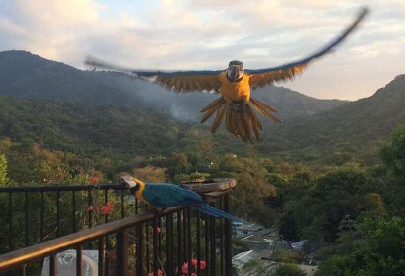 The Chill Out Hostel