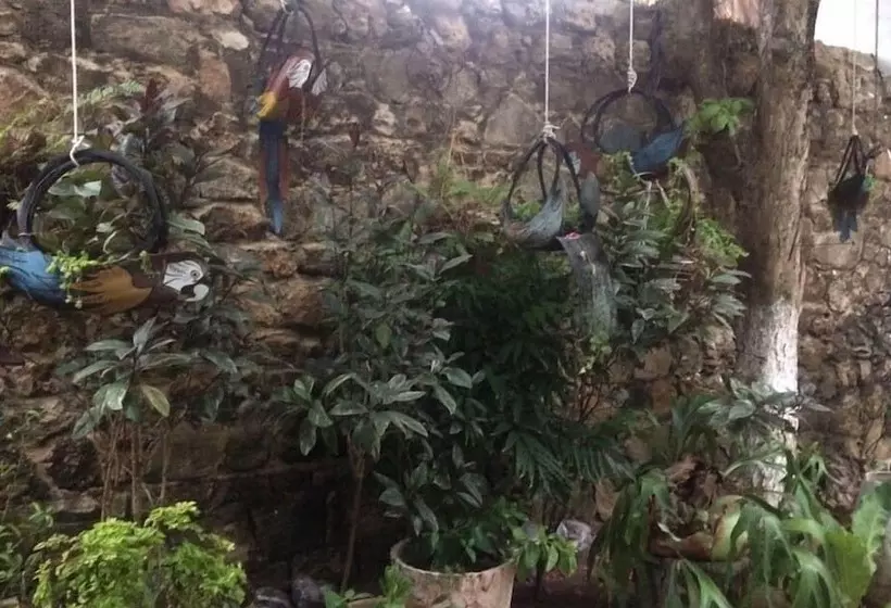 Hotelli Boutique Casa Berastegui