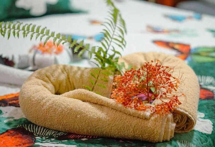 펜션 Casa Gitana Corcovado