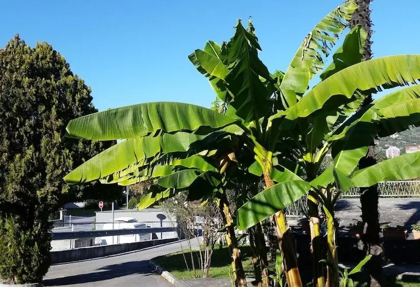 Pension Rooms Koblar