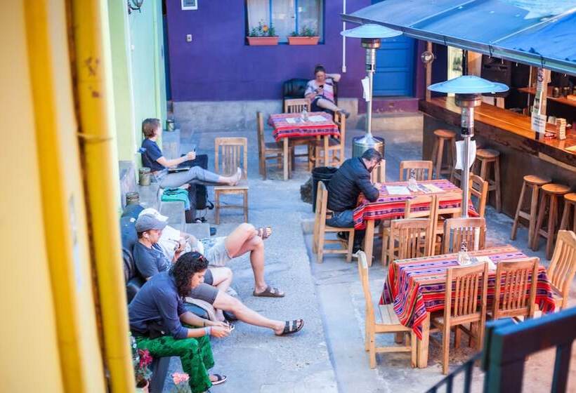 The Adventure Brew Downtwon Hostel