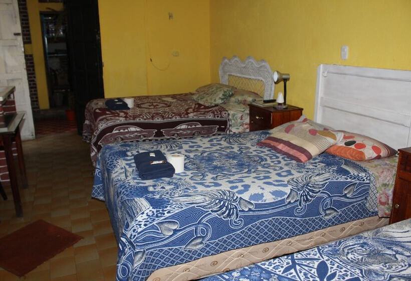 هاستل Casa Del Viajero