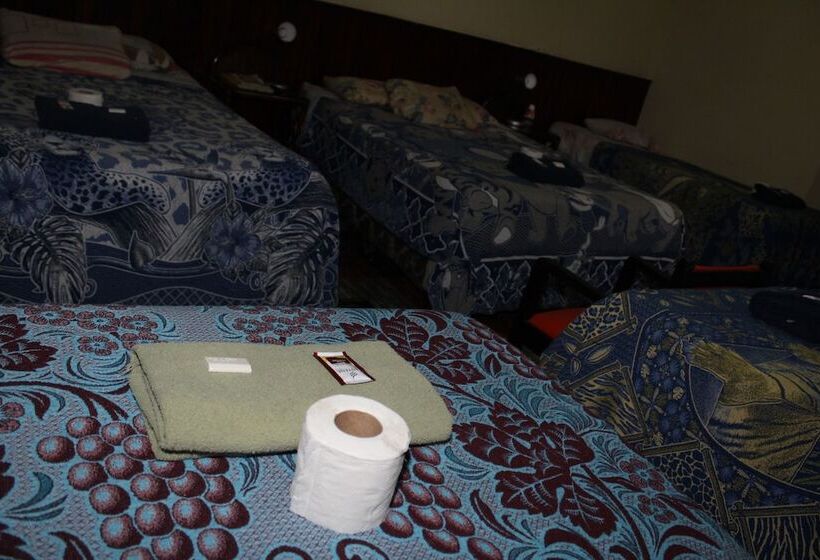 هاستل Casa Del Viajero