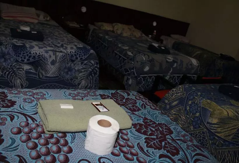 هاستل Casa Del Viajero