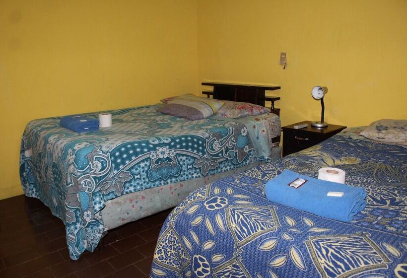 هاستل Casa Del Viajero