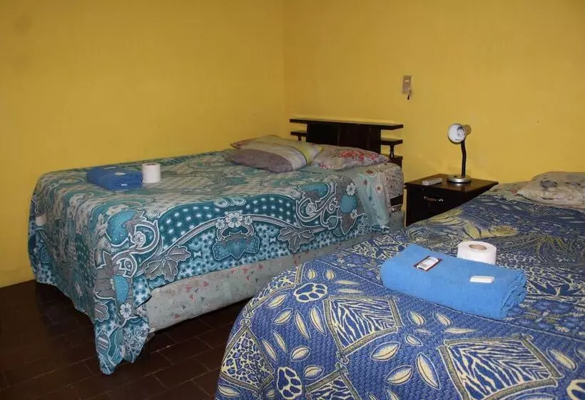 هاستل Casa Del Viajero