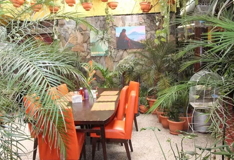 هاستل Casa Del Viajero