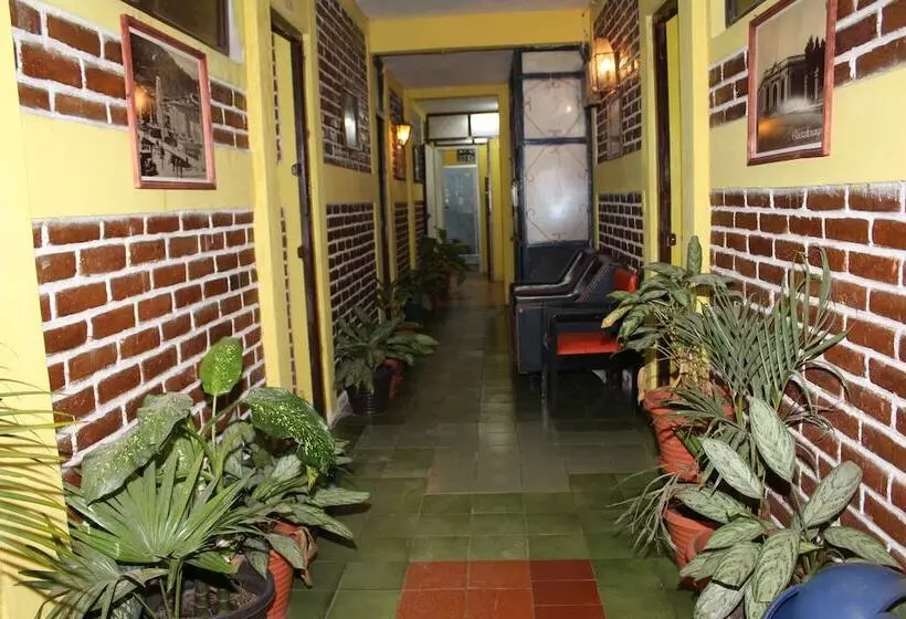 هاستل Casa Del Viajero