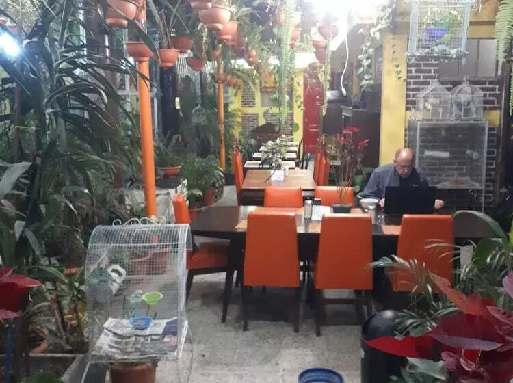 هاستل Casa Del Viajero