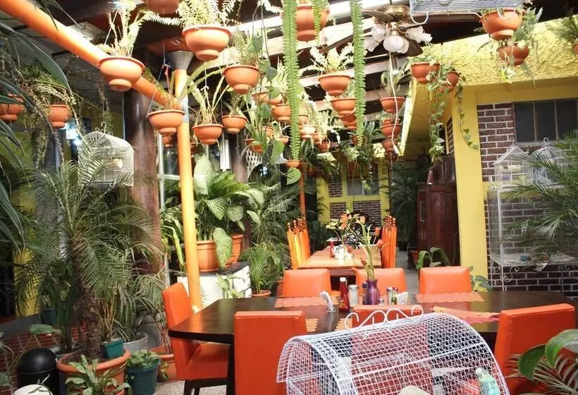 هاستل Casa Del Viajero