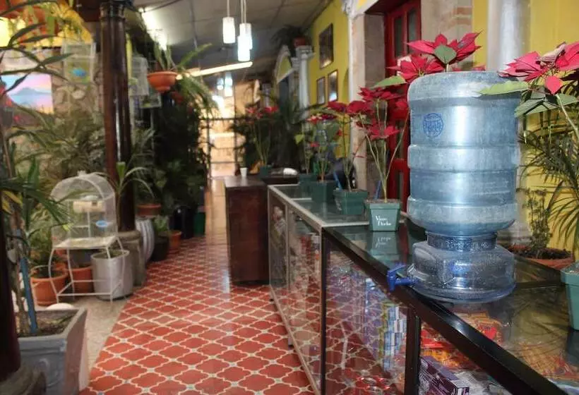 هاستل Casa Del Viajero