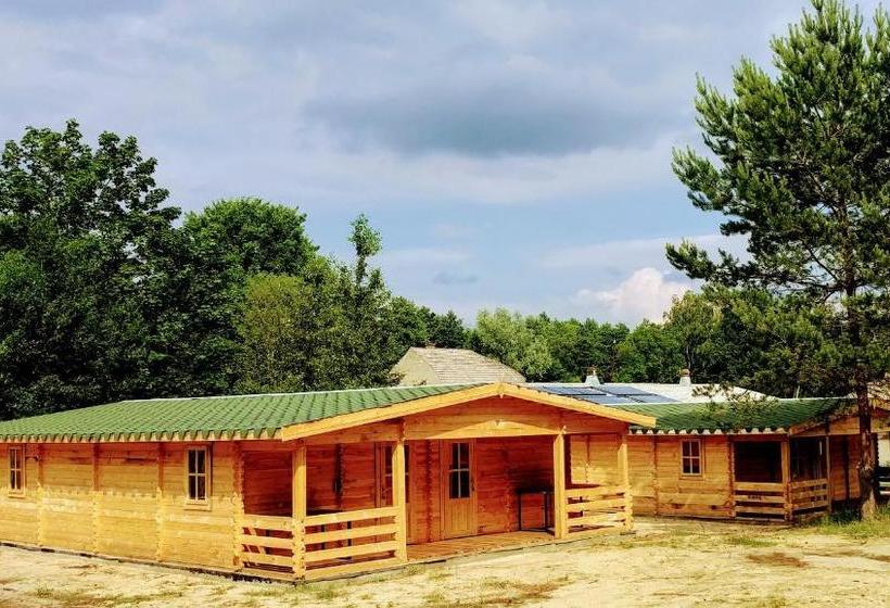 Alberg & Ferienpark Fleether Mühle