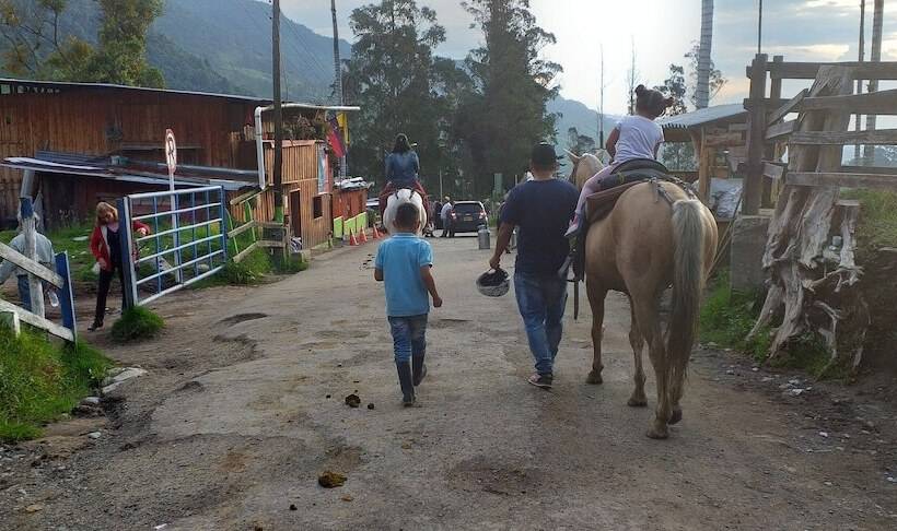 ユースホステル Hostal Balcones De Salento