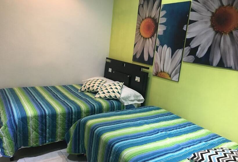 ユースホステル Hostal Balcones De Salento