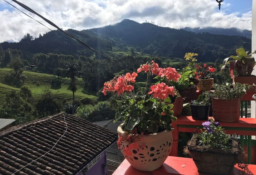 ユースホステル Hostal Balcones De Salento