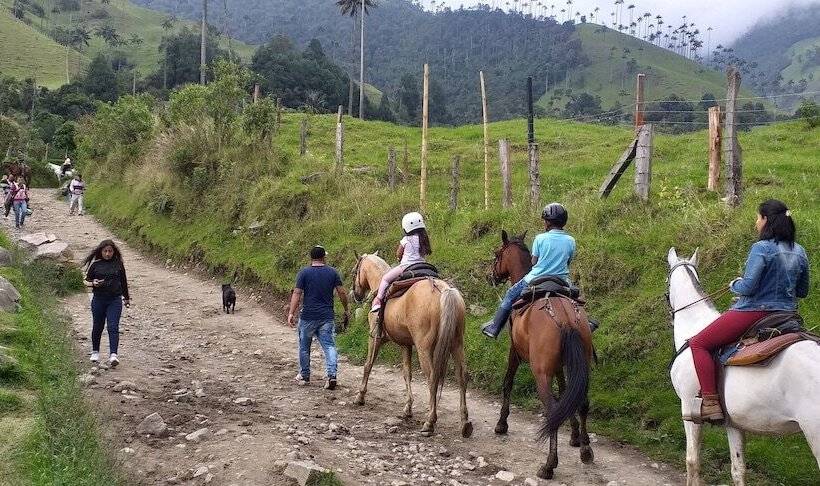 ユースホステル Hostal Balcones De Salento