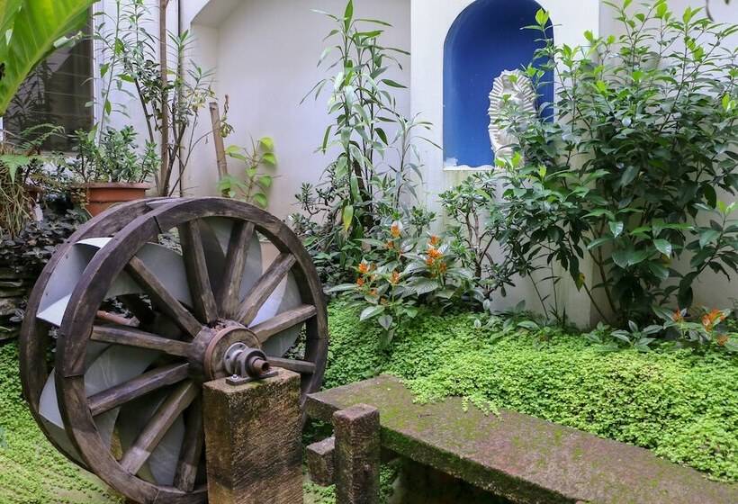 هتل Villa Serena San Benito