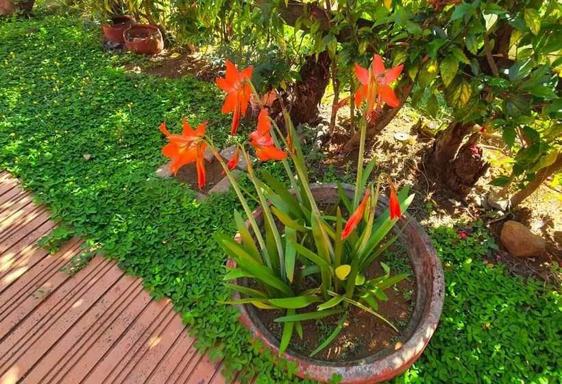 Hôtel Pousada Das Ilhas