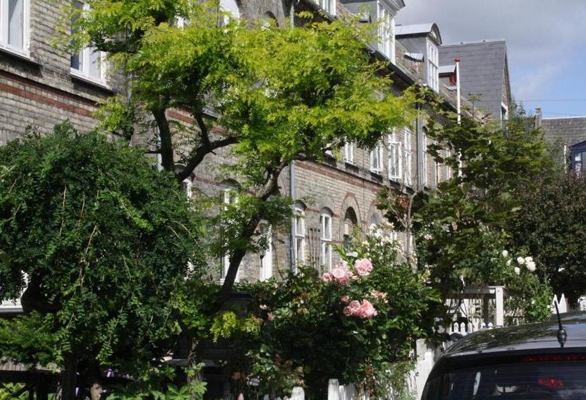 פנסיון The Little Guesthouse