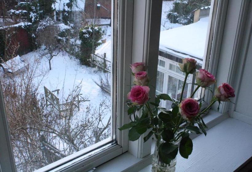 פנסיון The Little Guesthouse