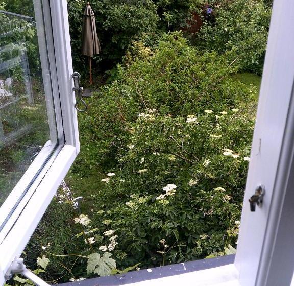 פנסיון The Little Guesthouse