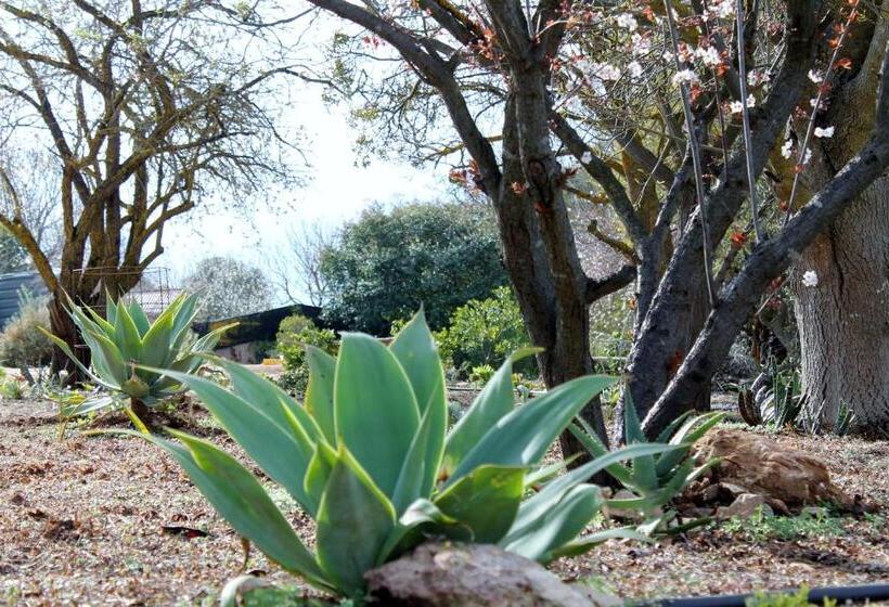 ベッドアンドブレックファースト Lyreen's Apartment