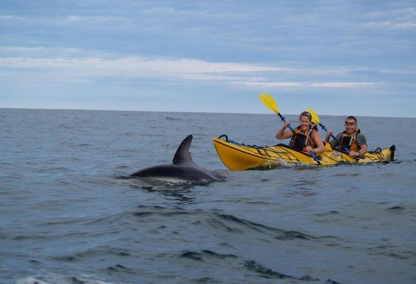 ホテル Alpine-pacific Holiday Park