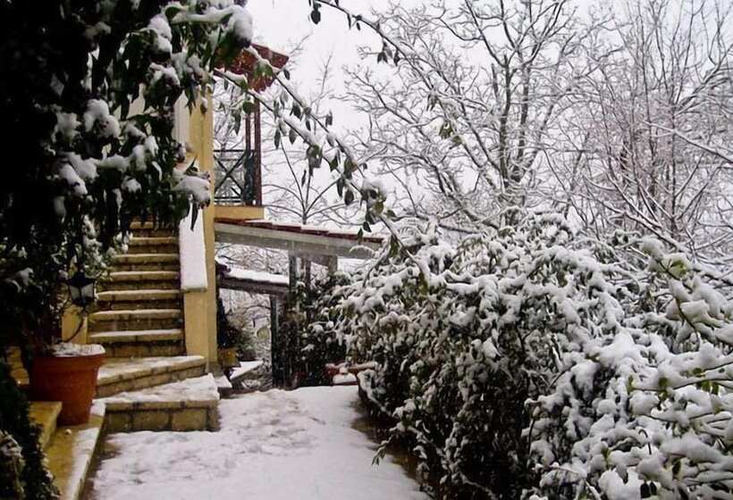 Отель Anerada Inn Suites & Spa Pet Friendly