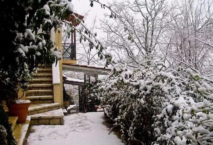 ホテル Anerada Inn Suites & Spa   Pet Friendly