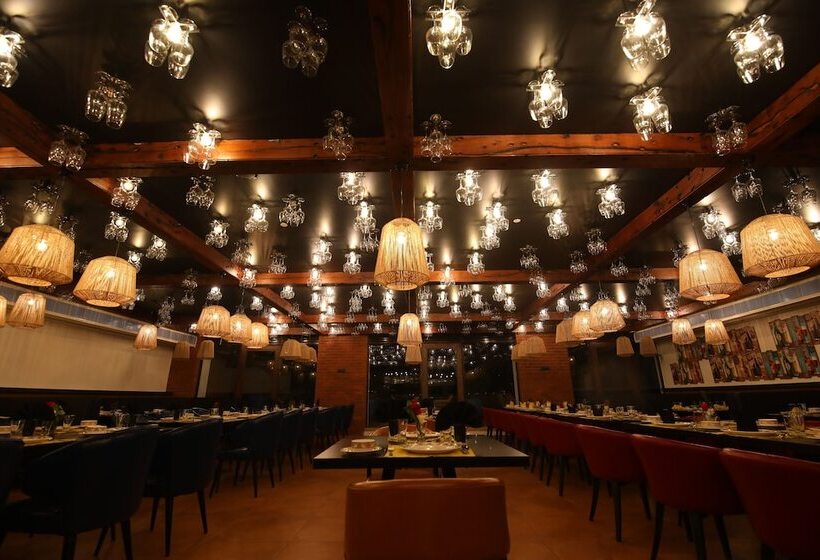 هتل Sayaji Rajkot