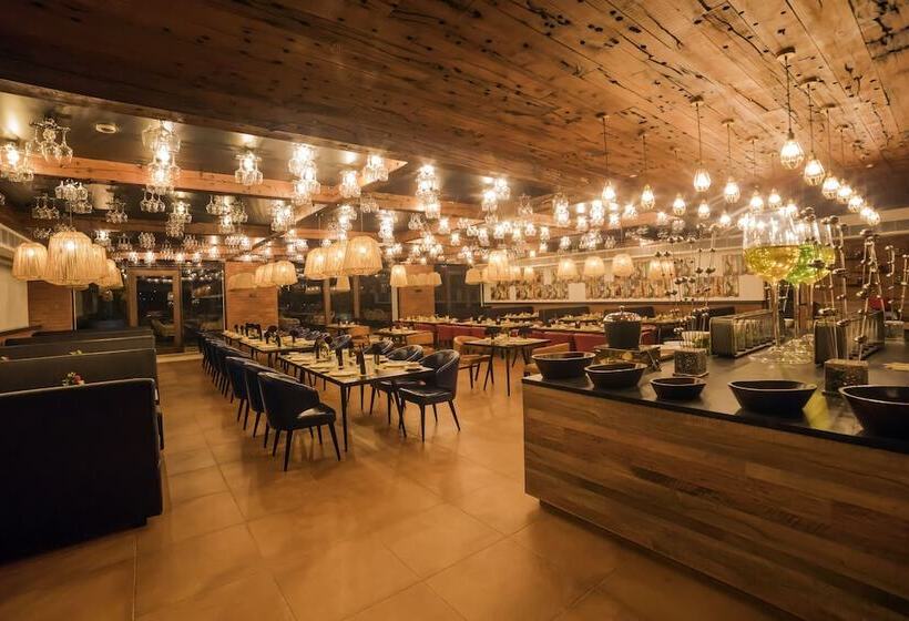 هتل Sayaji Rajkot