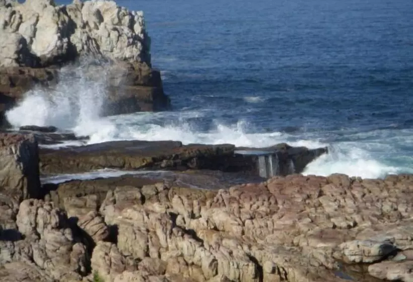 Majatalo Baleia Guest Lodge