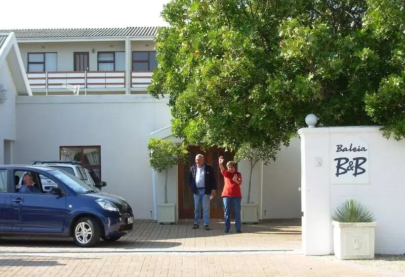 Majatalo Baleia Guest Lodge