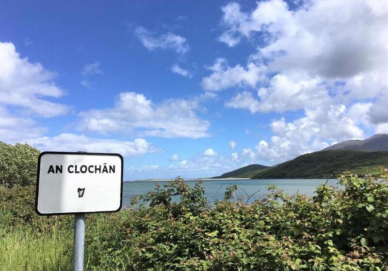 פנסיון O Connors Guesthouse