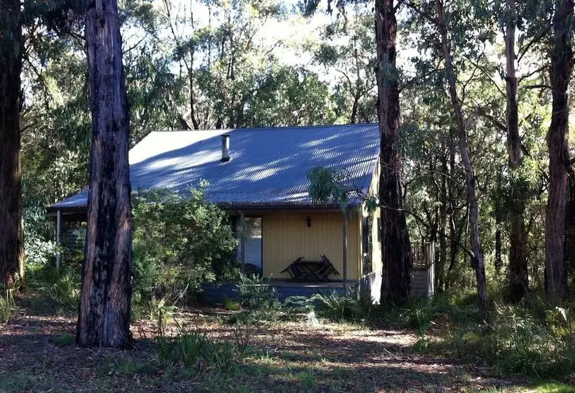 リゾートホテル Idyllic Retreat For 4 People In Beautiful Otway Ranges, Recharge & Refresh In Hot Tub