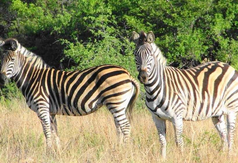 ホテル Elgro River Lodge