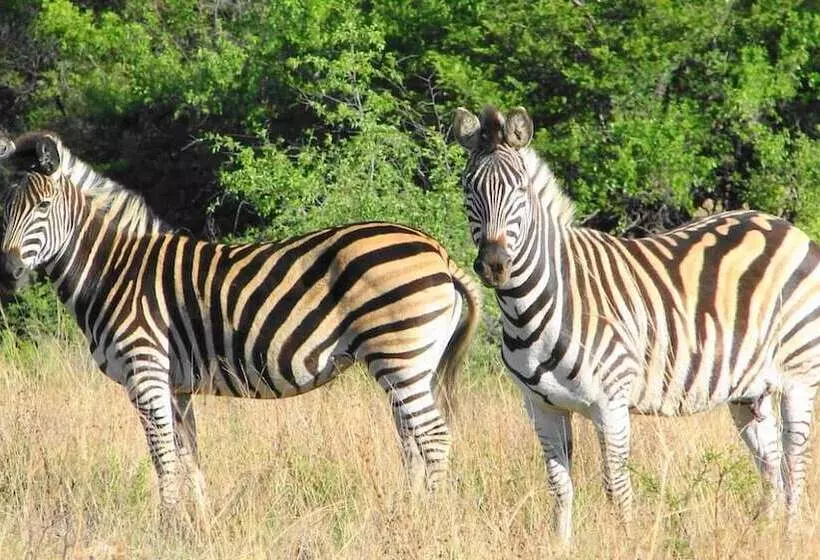 Hotelli Elgro River Lodge