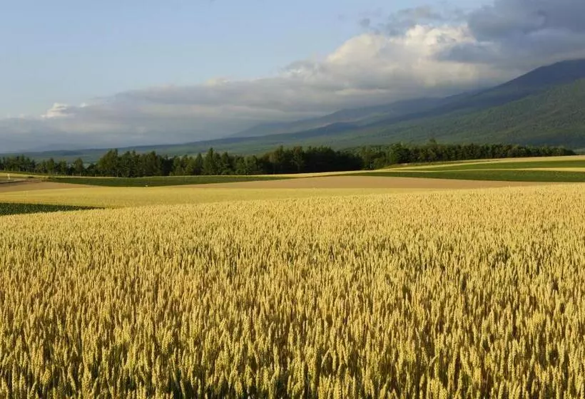 Hotelli Hanafuji Inn