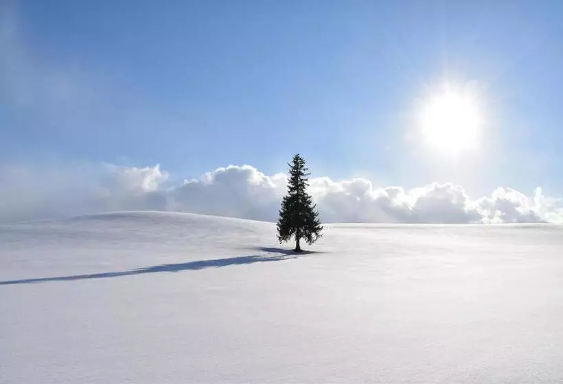 Hotelli Hanafuji Inn