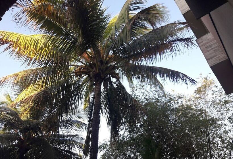 בית מלון כפרי Pousada Laguna