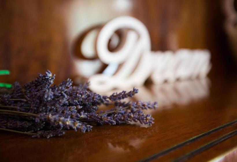 پانسیون Guest House Gugily