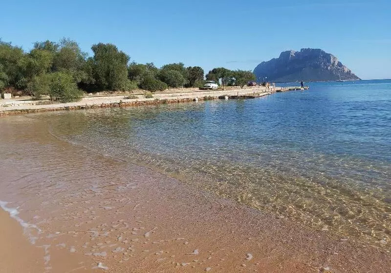 ペンション Il Faro Di Molara