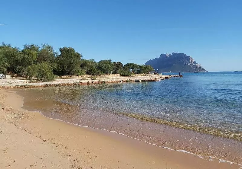 ペンション Il Faro Di Molara