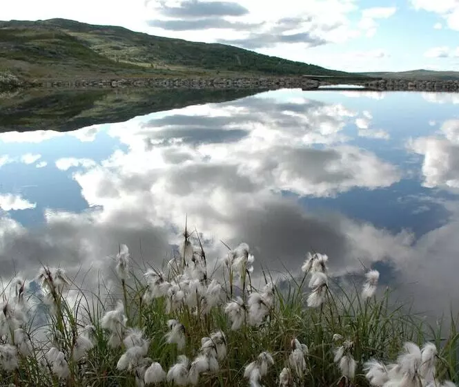 Rødungstøl Høyfjellshotell